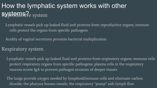 Lymphatic immune system Slide 32