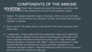 Lymphatic immune system Slide 45