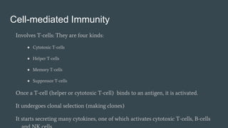 Lymphatic immune system Slide 55