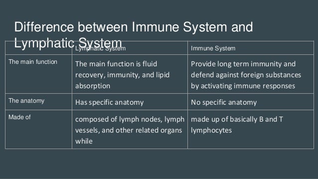 Lymphatic immune system
