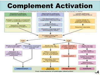 Lymphatic and Immune System for HSSC FBISE - LBISE | PPT