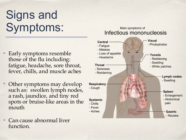 Conditions Of The Blood Immune And Lymphatic Systems
