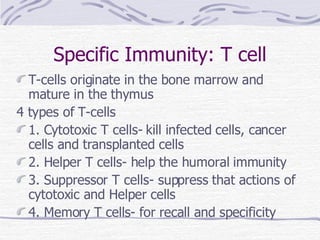 Specific Immunity: T cell T-cells originate in the bone marrow and mature in the thymus 4 types of T-cells 1. Cytotoxic T cells- kill infected cells, cancer cells and transplanted cells 2. Helper T cells- help the humoral immunity 3. Suppressor T cells- suppress that actions of cytotoxic and Helper cells 4. Memory T cells- for recall and specificity 
