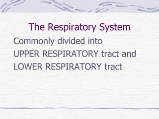 The Respiratory System Commonly divided into  UPPER RESPIRATORY tract and LOWER RESPIRATORY tract 