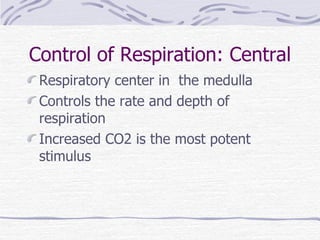 Control of Respiration: Central Respiratory center in  the medulla Controls the rate and depth of respiration Increased CO2 is the most potent stimulus 