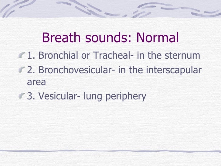 vesicular breath sounds medical definition vesicular breath sounds medical definition