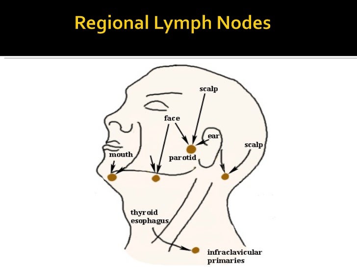 Lymphatics of the head & neck