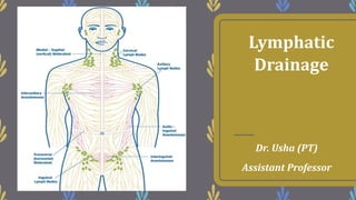 Lymphatic
Drainage
Dr. Usha (PT)
Assistant Professor
 