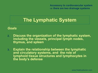 The Lymphatic System ,[object Object],[object Object],[object Object],Accessory to cardiovascular system    there are two drainage systems www.freelivedoctor.com 