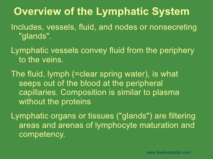 Lymphaticsystem 100311040135-phpapp01
