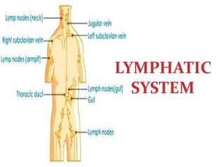 LYMPHATIC
SYSTEM
 