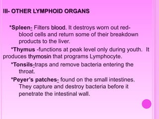 III- OTHER LYMPHOID ORGANS
*Spleen- Filters blood. It destroys worn out red-
blood cells and return some of their breakdown
products to the liver.
*Thymus -functions at peak level only during youth. It
produces thymosin that programs Lymphocyte.
*Tonsils-traps and remove bacteria entering the
throat.
*Peyer’s patches- found on the small intestines.
They capture and destroy bacteria before it
penetrate the intestinal wall.
 
