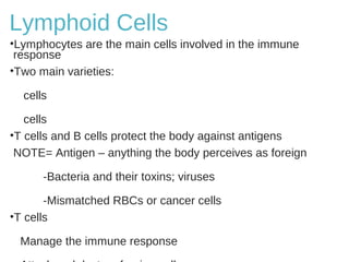 Lymphoid Cells
•Lymphocytes are the main cells involved in the immune
response
•Two main varieties:
cells
cells
•T cells and B cells protect the body against antigens
NOTE= Antigen – anything the body perceives as foreign
-Bacteria and their toxins; viruses
-Mismatched RBCs or cancer cells
•T cells
Manage the immune response
 