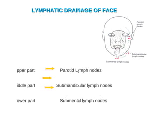 LYMPHATIC DRAINAGE OF FACELYMPHATIC DRAINAGE OF FACE
pper part Parotid Lymph nodes
iddle part Submandibular lymph nodes
ower part Submental lymph nodes
 