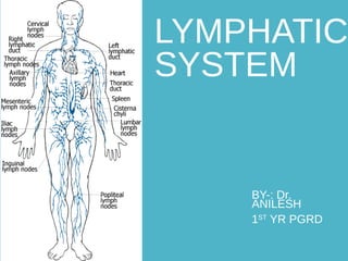 LYMPHATIC
SYSTEM
BY-: Dr.
ANILESH
1ST
YR PGRD
 