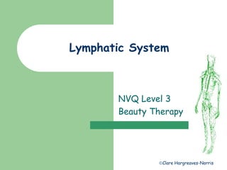 Clare Hargreaves-Norris
Lymphatic System
NVQ Level 3
Beauty Therapy
 