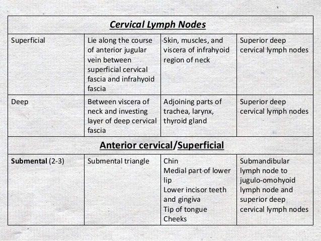 Lymphatic Of Head And Neck