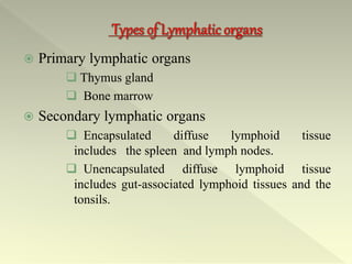  Primary lymphatic organs
 Thymus gland
 Bone marrow
 Secondary lymphatic organs
 Encapsulated diffuse lymphoid tissue
includes the spleen and lymph nodes.
 Unencapsulated diffuse lymphoid tissue
includes gut-associated lymphoid tissues and the
tonsils.
 