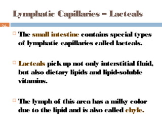 Lymphatic Capillaries – Lacteals
24-
11
 The small intestine contains special types
of lymphatic capillaries called lacteals.
 Lacteals pickup not only interstitial fluid,
but also dietary lipids and lipid-soluble
vitamins.
 The lymph of this area has a milky color
due to the lipid and is also called chyle.
 