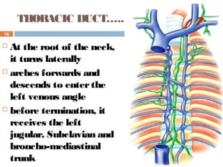 16
THORACIC DUCT…..
 At the root of the neck,
it turns laterally
 arches forwards and
descends to enterthe
left venous angle
 before termination, it
receives the left
jugular, Subclavian and
broncho-mediastinal
trunk
 