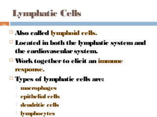 Lymphatic Cells
24-
18
 Also called lymphoid cells.
 Located in both the lymphatic systemand
the cardiovascularsystem.
 Worktogetherto elicit an immune
response.
 Types of lymphatic cells are:
 macrophages
 epithelial cells
 dendritic cells
 lymphocytes
 
