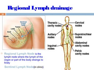 22
 Regional Lymph Node is the
lymph node where the lymph of the
organ or part of the body drainge to
firstly
Sentinel Lymph Node(in clinic)
Regional Lymph drainage
 