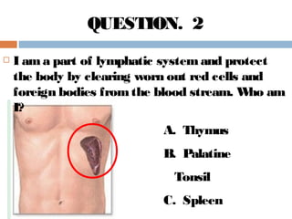  I ama part of lymphatic systemand protect
the body by clearing worn out red cells and
foreign bodies fromthe blood stream. Who am
I?
A. Thymus
B. Palatine
Tonsil
C. Spleen
QUESTION. 2
 