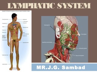 MR.J.G. Sambad
LYMPHATIC SYSTEM
 