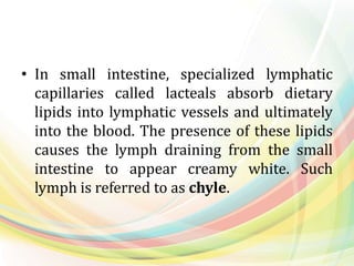 • In small intestine, specialized lymphatic
capillaries called lacteals absorb dietary
lipids into lymphatic vessels and ultimately
into the blood. The presence of these lipids
causes the lymph draining from the small
intestine to appear creamy white. Such
lymph is referred to as chyle.
 