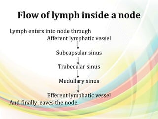 Flow of lymph inside a node
Lymph enters into node through
Afferent lymphatic vessel
Subcapsular sinus
Trabecular sinus
Medullary sinus
Efferent lymphatic vessel
And finally leaves the node.
 