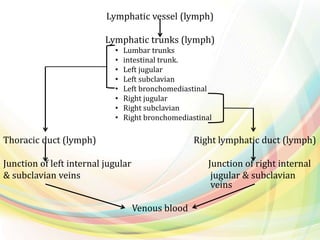 Lymphatic vessel (lymph)
Lymphatic trunks (lymph)
• Lumbar trunks
• intestinal trunk.
• Left jugular
• Left subclavian
• Left bronchomediastinal
• Right jugular
• Right subclavian
• Right bronchomediastinal
Thoracic duct (lymph) Right lymphatic duct (lymph)
Junction of left internal jugular Junction of right internal
& subclavian veins jugular & subclavian
veins
Venous blood
 