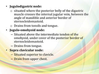 • Jugulodigastric node:
o situated where the posterior belly of the digastric
muscle crosses the internal jugular vein, between the
angle of mandible and anterior border of
sternocleidomastoid.
o Drains from tonsils and tongue.
• Jugulo-omohyoid node:
– Situated above the intermediate tendon of the
omohyoid, under cover of the posterior border of
sternocleidomastoid.
– Drains from tongue.
• Supra clavicular node:
– Situated superior to clavicle.
– Drain from upper chest.
 