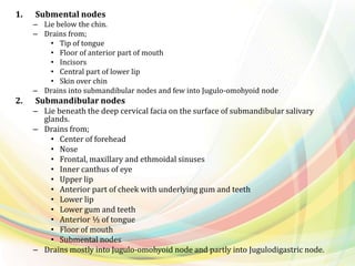 1. Submental nodes
– Lie below the chin.
– Drains from;
• Tip of tongue
• Floor of anterior part of mouth
• Incisors
• Central part of lower lip
• Skin over chin
– Drains into submandibular nodes and few into Jugulo-omohyoid node
2. Submandibular nodes
– Lie beneath the deep cervical facia on the surface of submandibular salivary
glands.
– Drains from;
• Center of forehead
• Nose
• Frontal, maxillary and ethmoidal sinuses
• Inner canthus of eye
• Upper lip
• Anterior part of cheek with underlying gum and teeth
• Lower lip
• Lower gum and teeth
• Anterior ⅓ of tongue
• Floor of mouth
• Submental nodes
– Drains mostly into Jugulo-omohyoid node and partly into Jugulodigastric node.
 