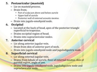 5. Postauricular (mastoid)
– Lie on mastoid process.
– Drain from;
• Part of scalp just above and below auricle
• Upper half of auricle
• Posterior wall of external acoustic meatus.
– Drain into jugulo-omohyoid node.
6. Occipital
– Located at the back of head, apex of the posterior triangle
superficial to trapezius.
– Drains occipital region of head.
– Drains into supraclavicular nodes.
7. Anterior cervical
– Lie along anterior jugular vein.
– Drain from skin of anterior part of neck.
– Drain into jugulo-omohyoid node and jugulodigastric node.
8. Superficial cervical
– Lie along external jugular vein.
– Drains from lobule of auricle, floor of external meatus, skin of
parotid region, angle of jaw.
– Drains into jugulo-omohyoid node, jugulodigastric node and
supraclavicular node.
 