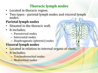 Thoracic lymph nodes
• Located in thoracic region.
• Two types - parietal lymph nodes and visceral lymph
nodes.
Parietal lymph nodes
• Situated in the thoracic wall.
• It includes;
– Parasternal nodes
– Intercostal nodes
– Diaphragmatic (phrenic) nodes
Visceral lymph nodes
• Located in relation to internal organs of chest.
• It includes;
– Tracheobronchial nodes
– Mediastinal nodes
 