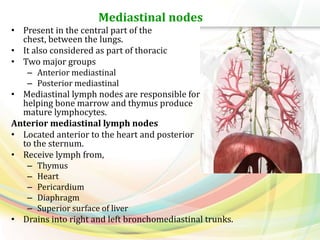 Mediastinal nodes
• Present in the central part of the
chest, between the lungs.
• It also considered as part of thoracic nodes.
• Two major groups
– Anterior mediastinal
– Posterior mediastinal
• Mediastinal lymph nodes are responsible for
helping bone marrow and thymus produce
mature lymphocytes.
Anterior mediastinal lymph nodes
• Located anterior to the heart and posterior
to the sternum.
• Receive lymph from,
– Thymus
– Heart
– Pericardium
– Diaphragm
– Superior surface of liver
• Drains into right and left bronchomediastinal trunks.
 