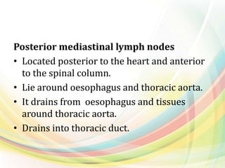 Posterior mediastinal lymph nodes
• Located posterior to the heart and anterior
to the spinal column.
• Lie around oesophagus and thoracic aorta.
• It drains from oesophagus and tissues
around thoracic aorta.
• Drains into thoracic duct.
 
