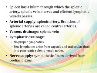 • Spleen has a hilum through which the splenic
artery, splenic vein, nerves and efferent lymphatic
vessels passes.
• Arterial supply: splenic artery. Branches of
splenic arteries are called central arteries.
• Venous drainage: splenic vein
• Lymphatic drainage:
– No proper lymphatics.
– Few lymphatics arise from capsule and trabeculae drain
into pancreatic splenic lymph nodes.
• Nerve supply: sympathetic fibers derived from
coeliac plexus.
 