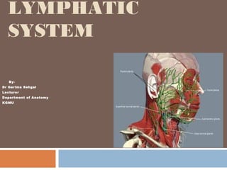 LYMPHATIC
SYSTEM
By-
Dr Garima Sehgal
Lecturer
Department of Anatomy
KGMU
 