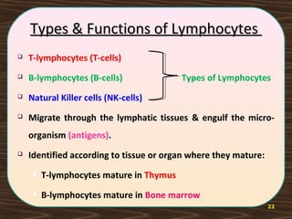 22
Types & Functions of LymphocytesTypes & Functions of Lymphocytes
 T-lymphocytes (T-cells)
 B-lymphocytes (B-cells) Types of Lymphocytes
 Natural Killer cells (NK-cells)
 Migrate through the lymphatic tissues & engulf the micro-
organism (antigens).
 Identified according to tissue or organ where they mature:
• T-lymphocytes mature in Thymus
• B-lymphocytes mature in Bone marrow
 