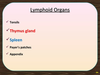 Lymphoid OrgansLymphoid Organs
 Tonsils
Thymus gland
Spleen
 Payer's patches
 Appendix
24
 