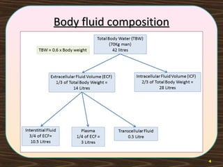 Body fluid compositionBody fluid composition
4
 
