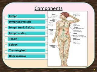 ComponentsComponents
9
 