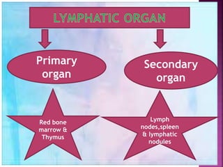 Lymphatic system | PPTX
