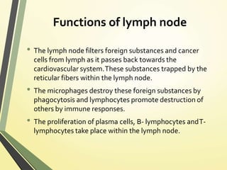 Functions of lymph node
• The lymph node filters foreign substances and cancer
cells from lymph as it passes back towards the
cardiovascular system.These substances trapped by the
reticular fibers within the lymph node.
• The microphages destroy these foreign substances by
phagocytosis and lymphocytes promote destruction of
others by immune responses.
• The proliferation of plasma cells, B- lymphocytes andT-
lymphocytes take place within the lymph node.
 