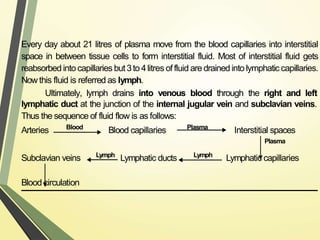 Every day about 21 litres of plasma move from the blood capillaries into interstitial
space in between tissue cells to form interstitial fluid. Most of interstitial fluid gets
reabsorbed intocapillaries but3to 4litres offluid are drainedinto lymphatic capillaries.
Now this fluid is referred as lymph.
Ultimately, lymph drains into venous blood through the right and left
lymphatic duct at the junction of the internal jugular vein and subclavian veins.
Thus the sequence of fluid flow is as follows:
Arteries Blood capillaries
Blood Plasma
Interstitial spaces
Plasma
Subclavian veins Lymph
Lymphatic ducts Lymph
Lymphatic capillaries
Blood circulation
 