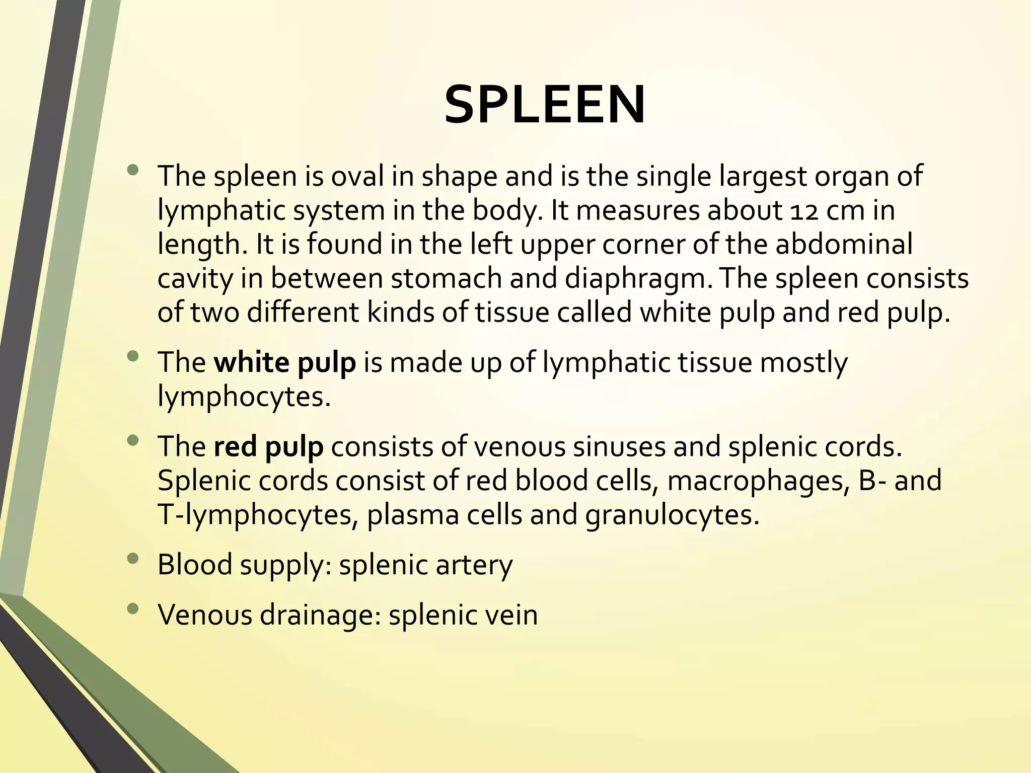 Lymphatic system: Anatomy and Physiology | PPTX