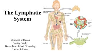 The Lymphatic
System
Mehmood ul Hassan
Nursing Faculty
Bahria Town School Of Nursing
Lahore, Pakistan
 