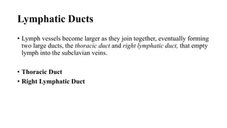 Lymphatic Ducts
• Lymph vessels become larger as they join together, eventually forming
two large ducts, the thoracic duct and right lymphatic duct, that empty
lymph into the subclavian veins.
• Thoracic Duct
• Right Lymphatic Duct
 