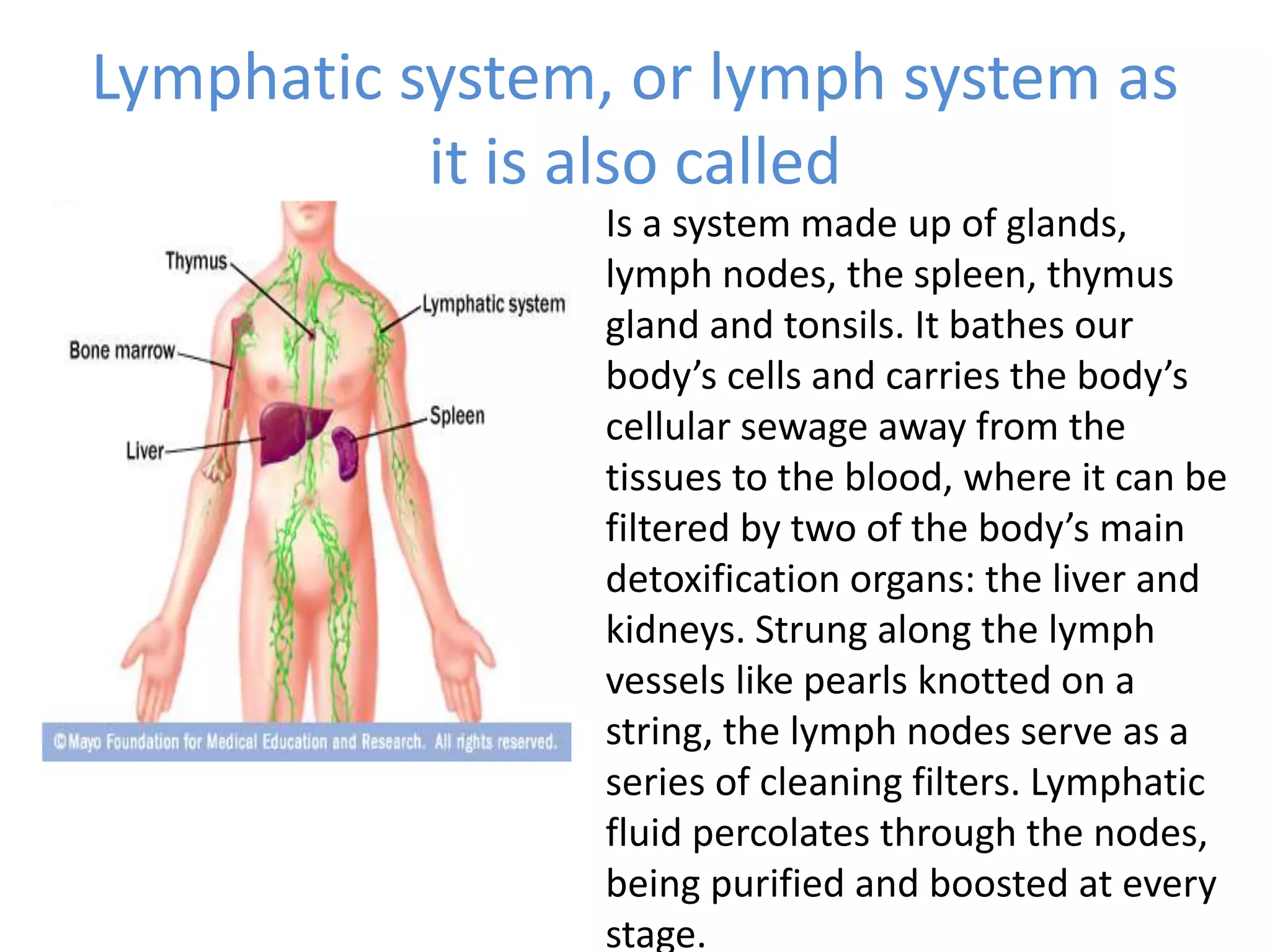 Lymphatic system, or lymph system as
it is also called
Is a system made up of glands,
lymph nodes, the spleen, thymus
gland and tonsils. It bathes our
body’s cells and carries the body’s
cellular sewage away from the
tissues to the blood, where it can be
filtered by two of the body’s main
detoxification organs: the liver and
kidneys. Strung along the lymph
vessels like pearls knotted on a
string, the lymph nodes serve as a
series of cleaning filters. Lymphatic
fluid percolates through the nodes,
being purified and boosted at every
stage.
 